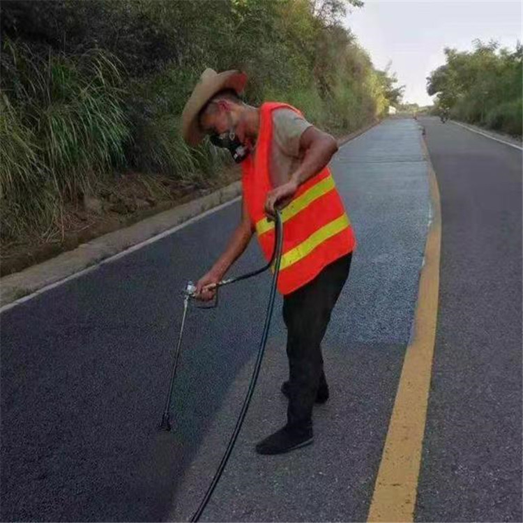 东丽 彩色防滑路面的底涂是保障路面附着力